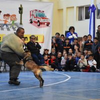 2018-12/FERIA DE PREVENCION (7).jpeg