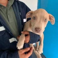2019-10/ESTERILIZACION (2).jpg