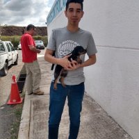 2019-10/ESTERILIZACION (3).jpg