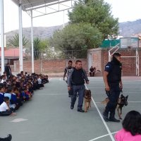 2019-12/perros 2.jpg