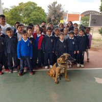 2019-12/perros 3 (1).jpg